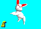 rabbit.gif (14845 �o�C�g)