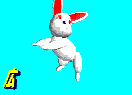 rabbit.gif (14845 oCg)